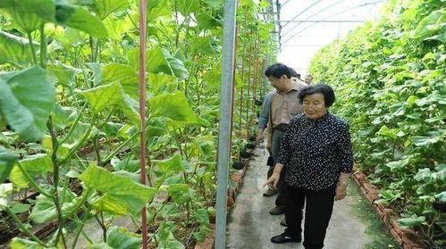 吃瓜网在线观看,热门剧集在线观看，带你畅享视听盛宴